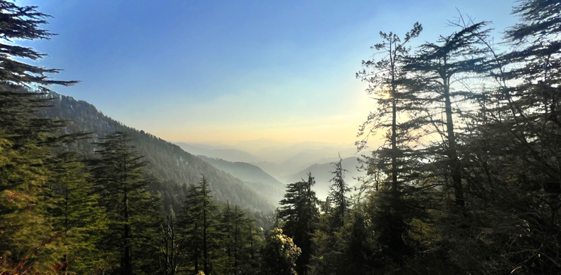 Shimla Manali Tour